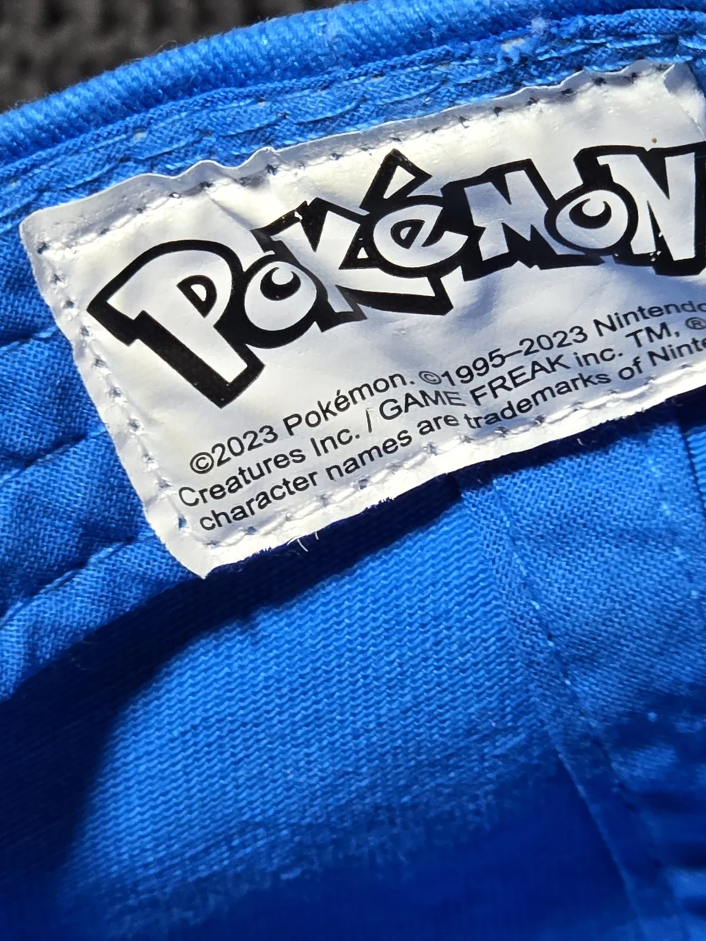 Pokemon Poke Ball Embroidered Patch Blue Baseball Cap Hat Snapback